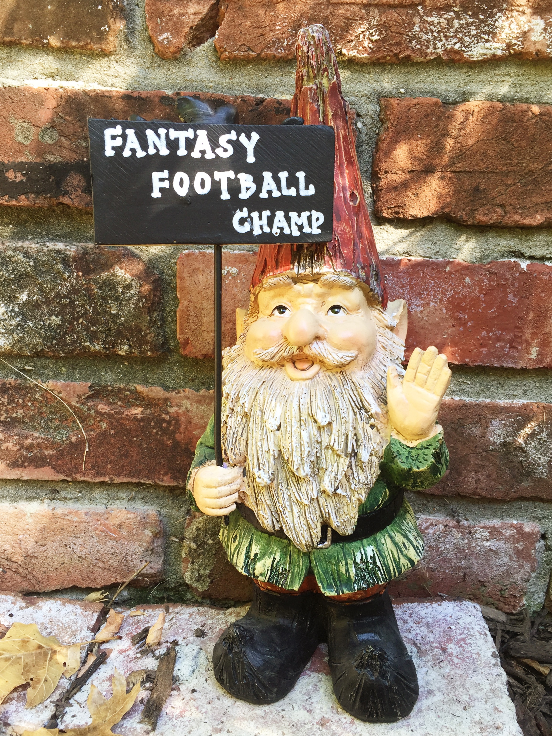 Fantasy Football Shiva Gnome