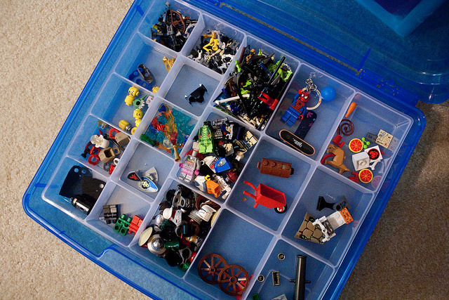 LEGO organization Iris