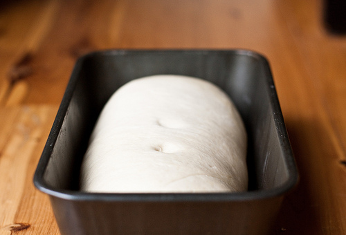 American Sandwich Bread