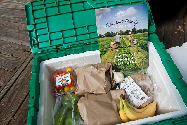 Green BEAN bin contents