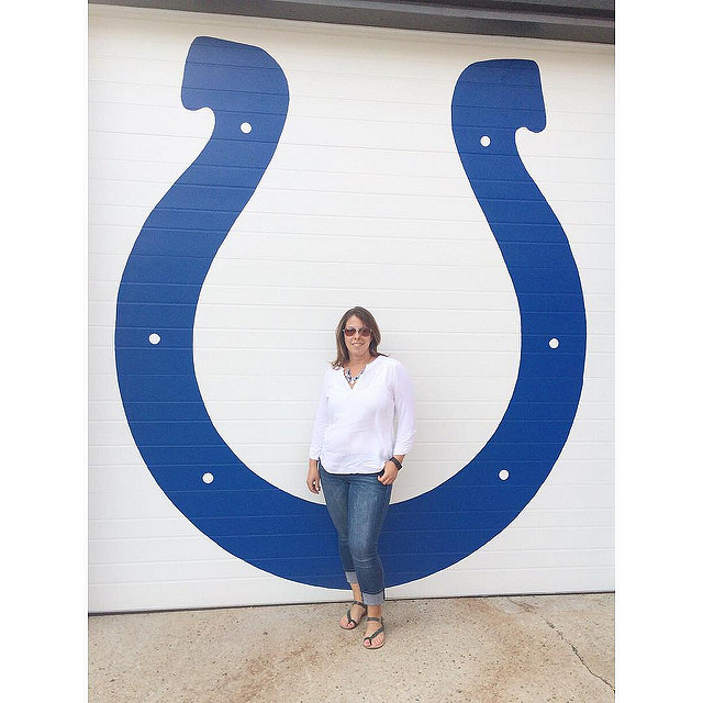 Angie Six Colts Horseshoe