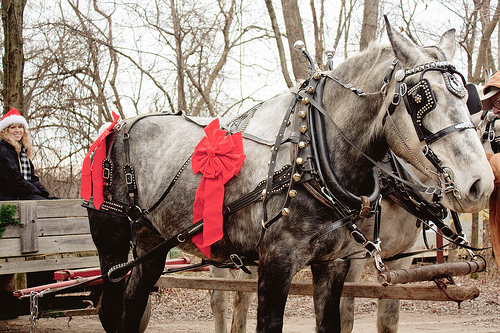 Conner Prairie 1836 Outdoor Adventure