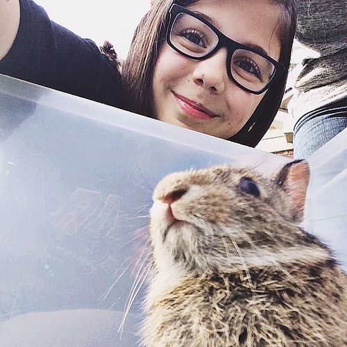 Remember that one time we caught a baby rabbit in our garage and it was our pet for an hour?