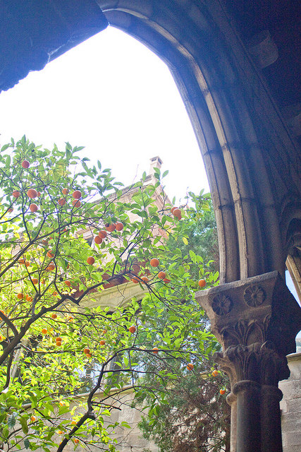 Barcelona with Kids | Family Travel