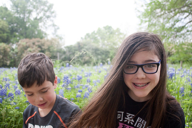 Texas Bluebonnets