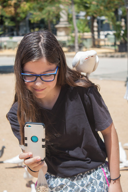 Pigeons Parque Maria Luisa Sevilla