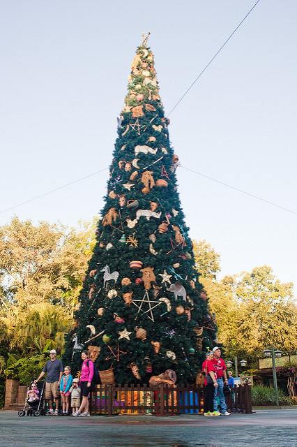 Disney's Animal Kingdom Christmas Tree