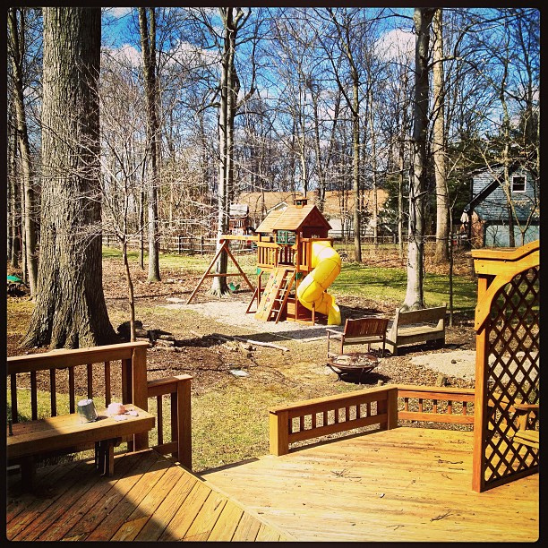View from my back porch. Love our mighty oak.